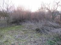 Pozemek, Jenčice